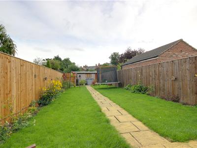Picture 19